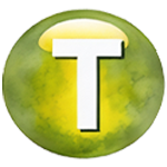 Letter T in Star Estate logo