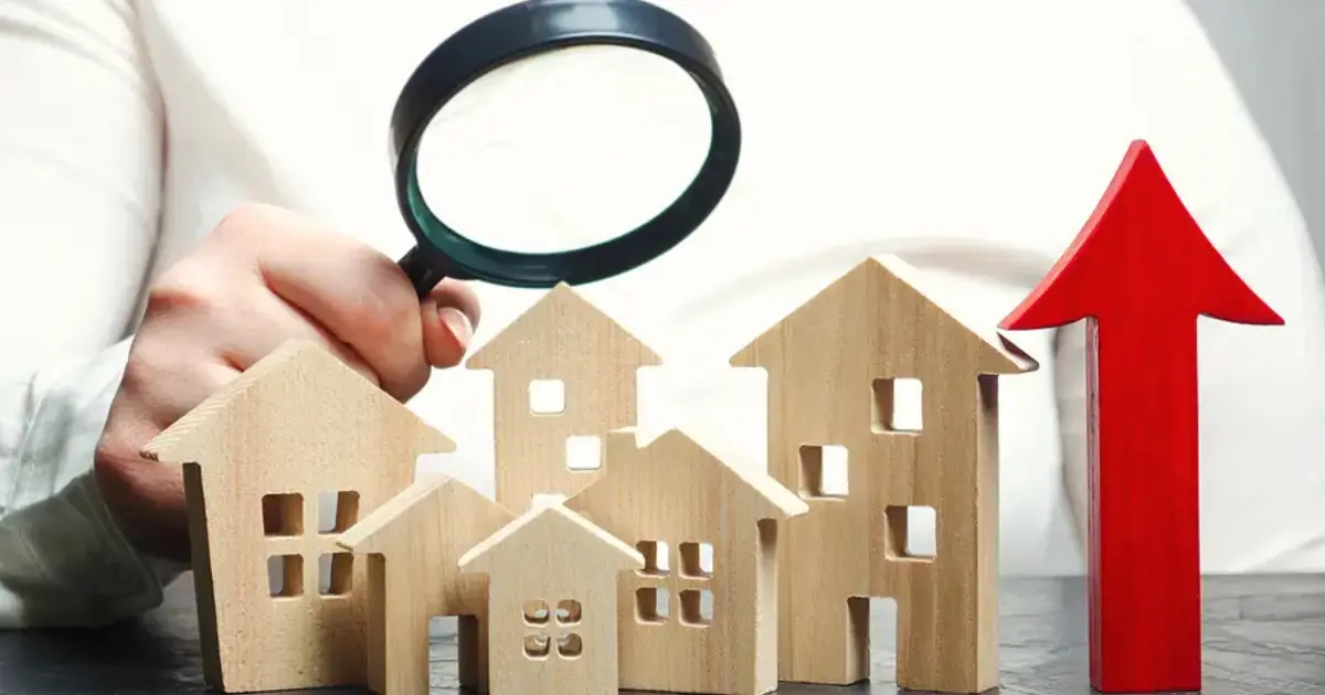 Considering Sustainability and Investment Potential